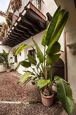 Apartment Patios De La Juderia *