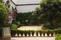 Patios De La Juderia Cordoba